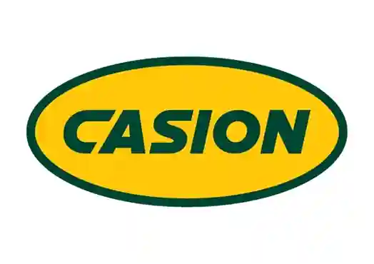Casion